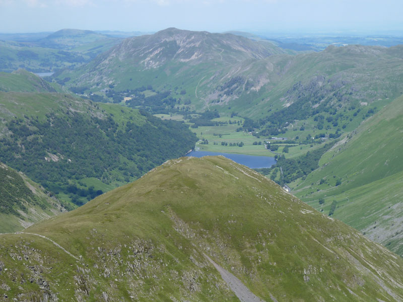 Middle Dodd